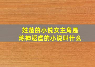 姓楚的小说女主角是炼神返虚的小说叫什么