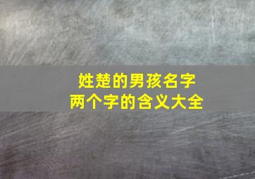 姓楚的男孩名字两个字的含义大全