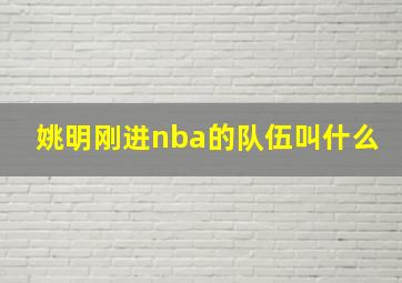 姚明刚进nba的队伍叫什么