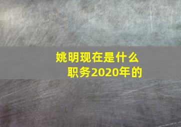 姚明现在是什么职务2020年的