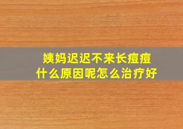 姨妈迟迟不来长痘痘什么原因呢怎么治疗好