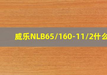 威乐NLB65/160-11/2什么价