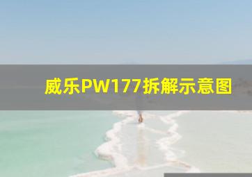 威乐PW177拆解示意图