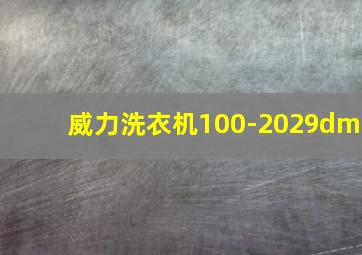 威力洗衣机100-2029dm