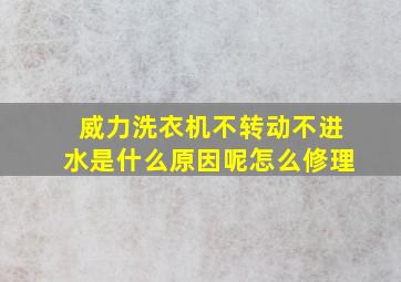 威力洗衣机不转动不进水是什么原因呢怎么修理