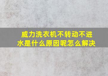 威力洗衣机不转动不进水是什么原因呢怎么解决