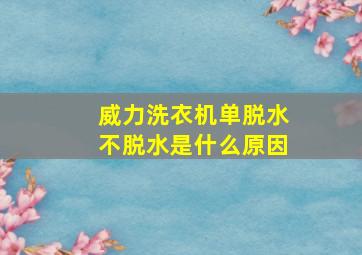 威力洗衣机单脱水不脱水是什么原因