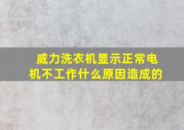 威力洗衣机显示正常电机不工作什么原因造成的