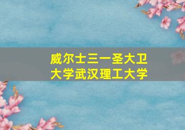 威尔士三一圣大卫大学武汉理工大学