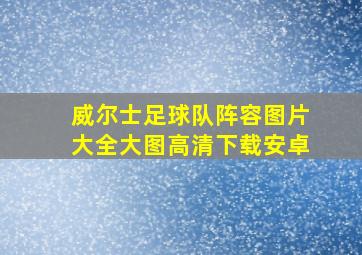 威尔士足球队阵容图片大全大图高清下载安卓