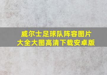 威尔士足球队阵容图片大全大图高清下载安卓版