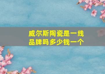 威尔斯陶瓷是一线品牌吗多少钱一个