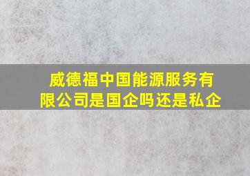 威德福中国能源服务有限公司是国企吗还是私企