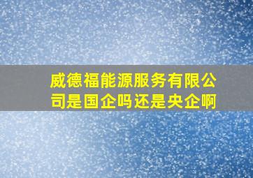 威德福能源服务有限公司是国企吗还是央企啊