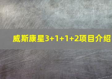 威斯康星3+1+1+2项目介绍