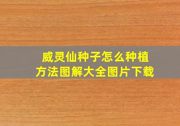 威灵仙种子怎么种植方法图解大全图片下载