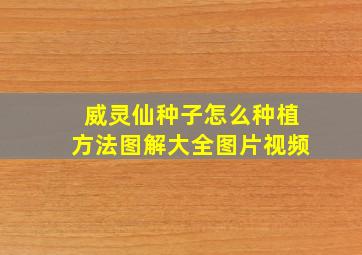 威灵仙种子怎么种植方法图解大全图片视频