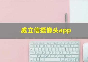 威立信摄像头app