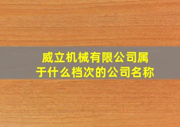 威立机械有限公司属于什么档次的公司名称