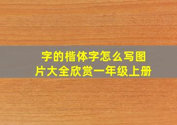 字的楷体字怎么写图片大全欣赏一年级上册