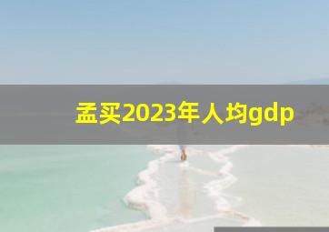 孟买2023年人均gdp