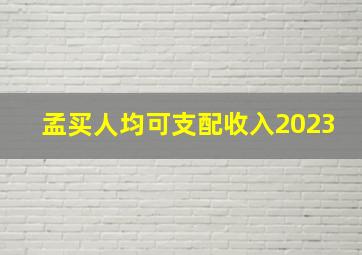 孟买人均可支配收入2023