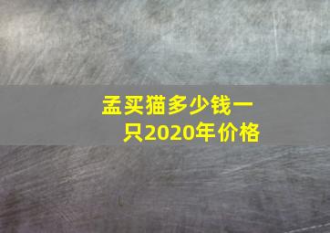 孟买猫多少钱一只2020年价格