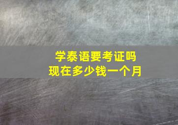 学泰语要考证吗现在多少钱一个月