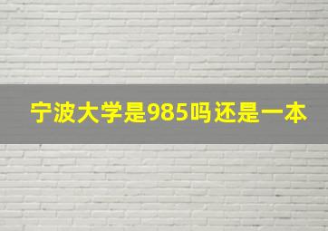 宁波大学是985吗还是一本