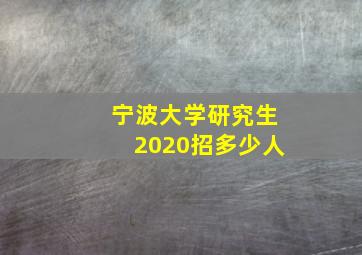 宁波大学研究生2020招多少人