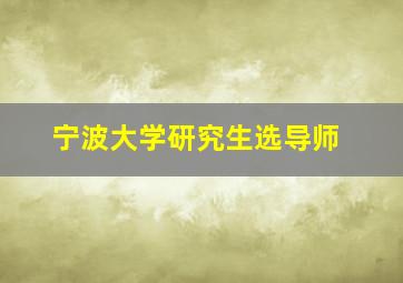 宁波大学研究生选导师