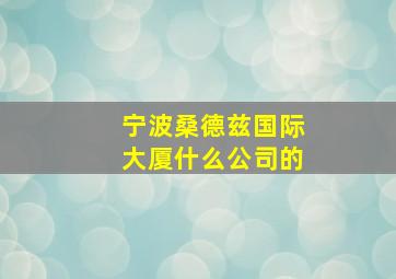 宁波桑德兹国际大厦什么公司的