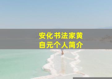 安化书法家黄自元个人简介