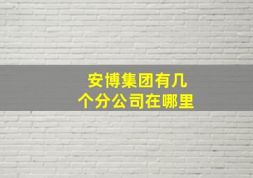 安博集团有几个分公司在哪里