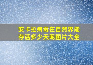 安卡拉病毒在自然界能存活多少天呢图片大全