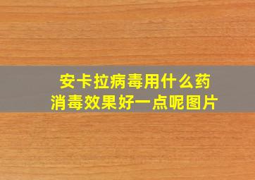 安卡拉病毒用什么药消毒效果好一点呢图片