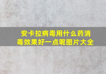 安卡拉病毒用什么药消毒效果好一点呢图片大全