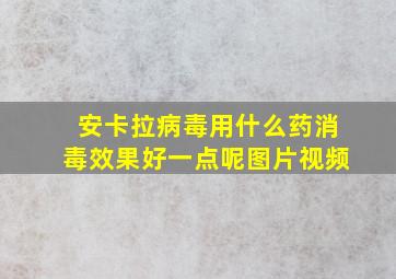 安卡拉病毒用什么药消毒效果好一点呢图片视频