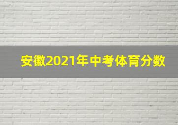 安徽2021年中考体育分数