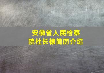 安徽省人民检察院杜长棣简历介绍