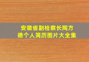 安徽省副检察长陶方德个人简历图片大全集