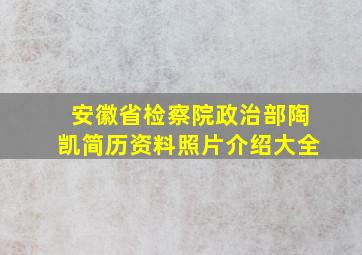 安徽省检察院政治部陶凯简历资料照片介绍大全