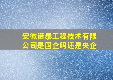 安徽诺泰工程技术有限公司是国企吗还是央企