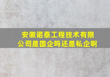 安徽诺泰工程技术有限公司是国企吗还是私企啊