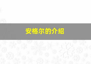 安格尔的介绍