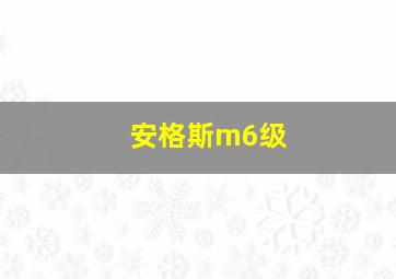 安格斯m6级