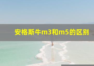 安格斯牛m3和m5的区别