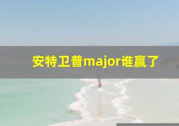 安特卫普major谁赢了