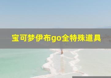 宝可梦伊布go全特殊道具