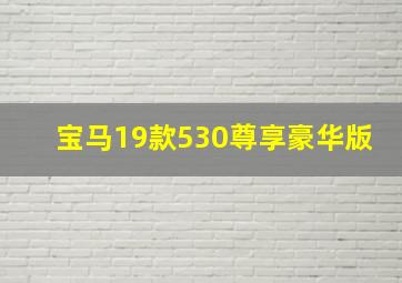 宝马19款530尊享豪华版